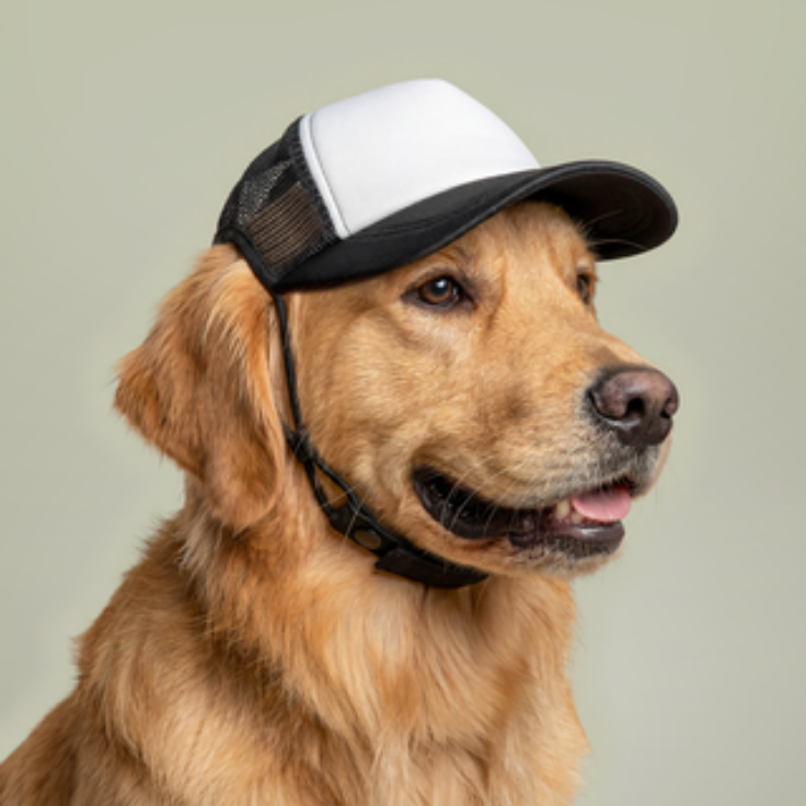 Twin Trove Co. Foam Trucker Hat — Vintage Dog Brand Cap