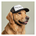 Twin Trove Co. Foam Trucker Hat — Vintage Dog Brand Cap