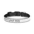 Custom Clip-On Pet Collar — Personalized Printed Collar (Add Your Text)